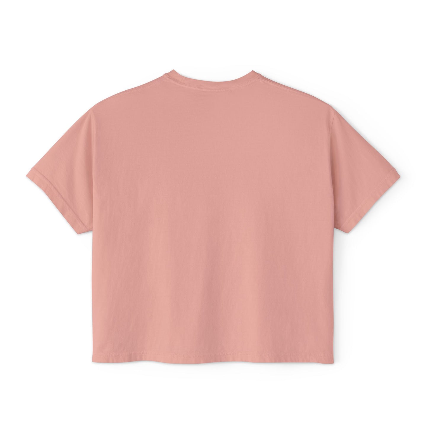Accessibility Advocacy Boxy Tee in Color