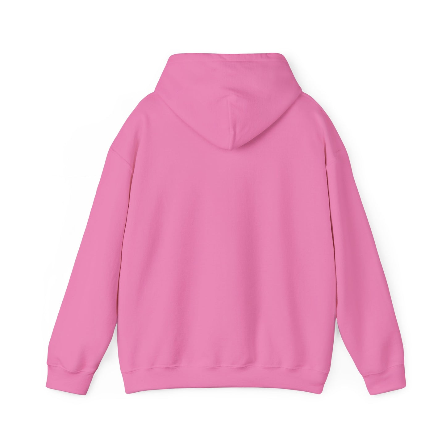 Inclusivity Rainbow Hooded Sweatshirt