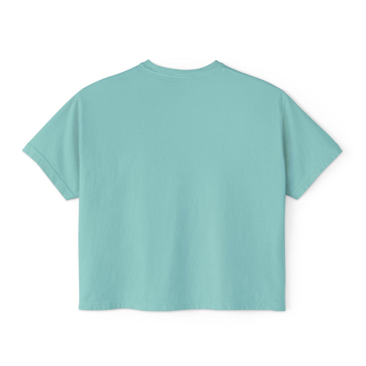 Accessibility Advocacy Boxy Tee in Color