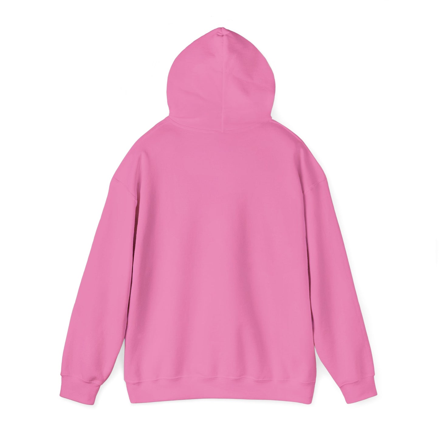 Inclusivity Rainbow Hooded Sweatshirt
